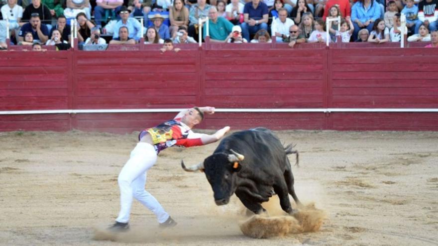 El Concurso de Cortes celebrado en Benavente el pasado año. | E. P.