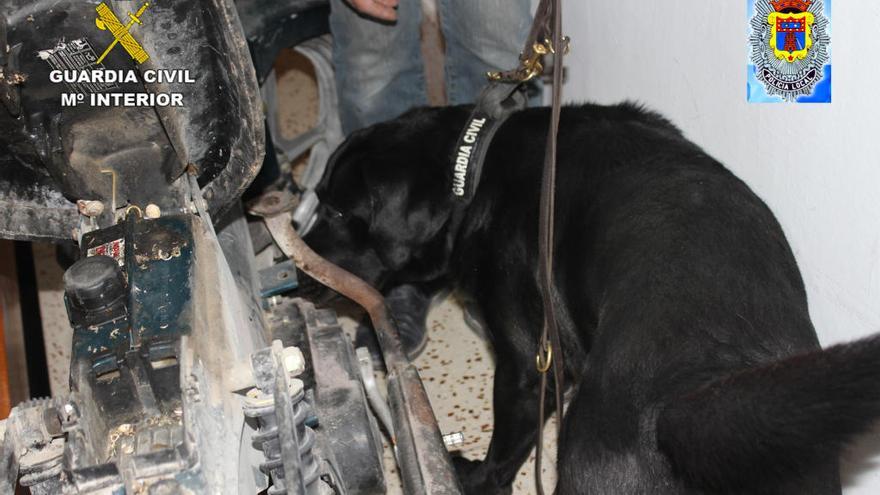 Un perro experto en localización de drogas ayuda a los agentes.