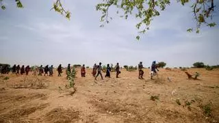Haití, el Sahel y Sudán en alerta máxima por hambre, advierte la ONU