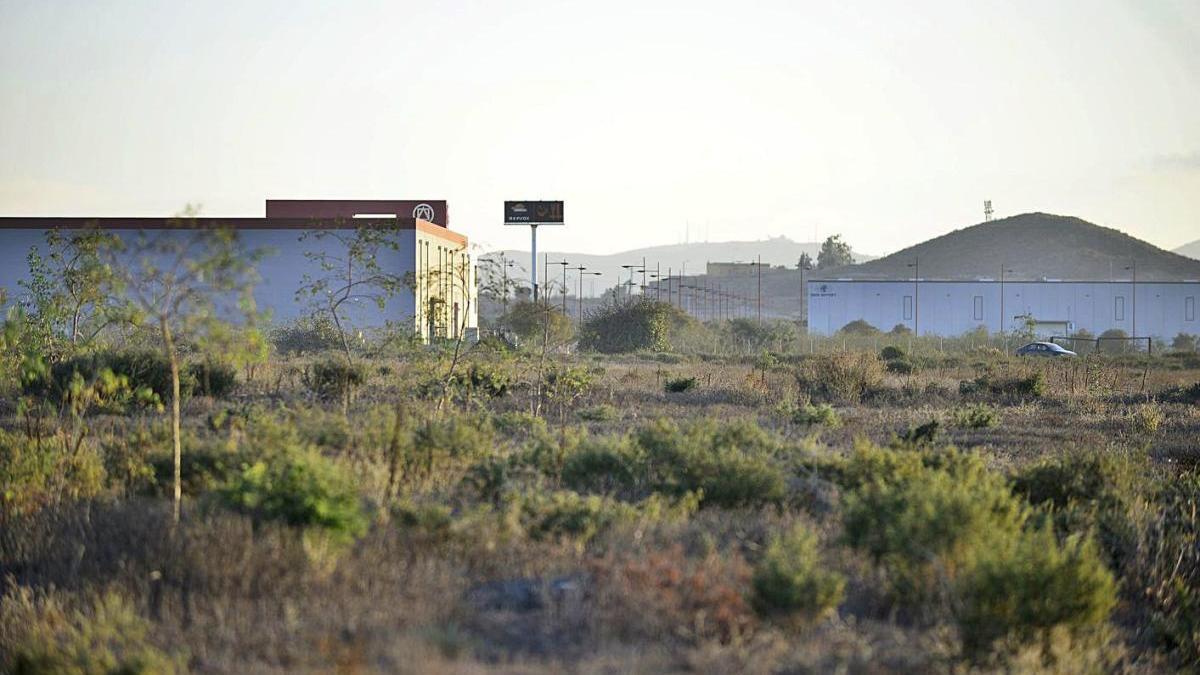 Los terrenos donde se ubicará la Zona de Actividades Logísticas de Los Camachos.