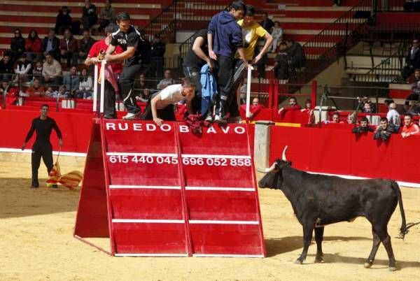 Vaquillas y rejones en la Feria San Jorge