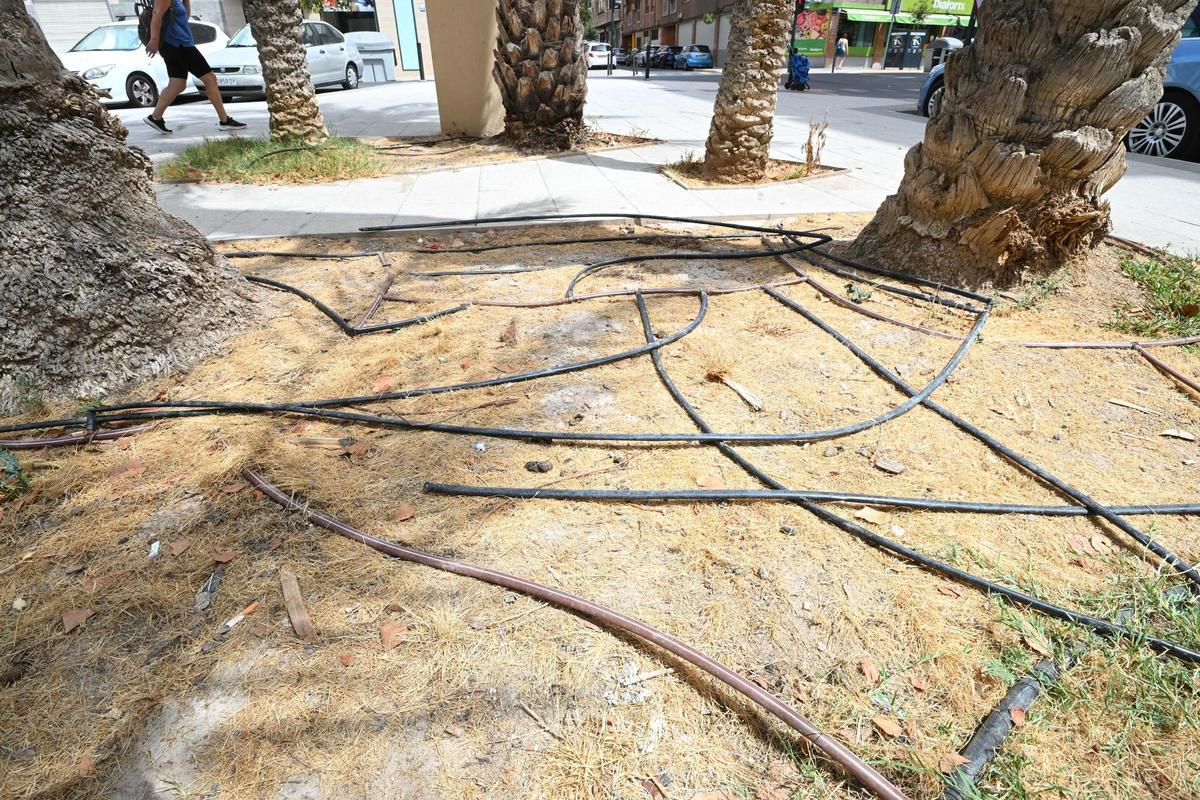 Estado de uno de los parterres de la plaza.