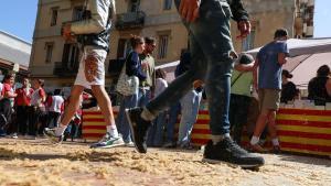 On es concentra més el pol·len de plàtan d’ombra a Barcelona i com protegir-te en plena temporada d’al·lèrgies