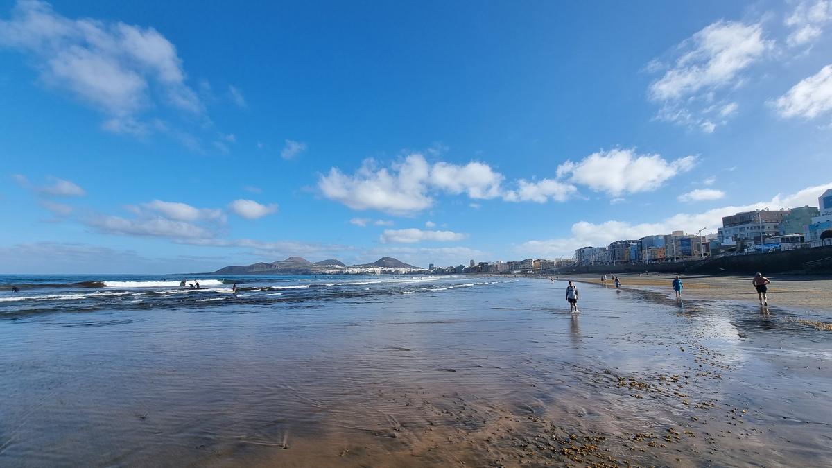 Presencia de algas en Las Canteras