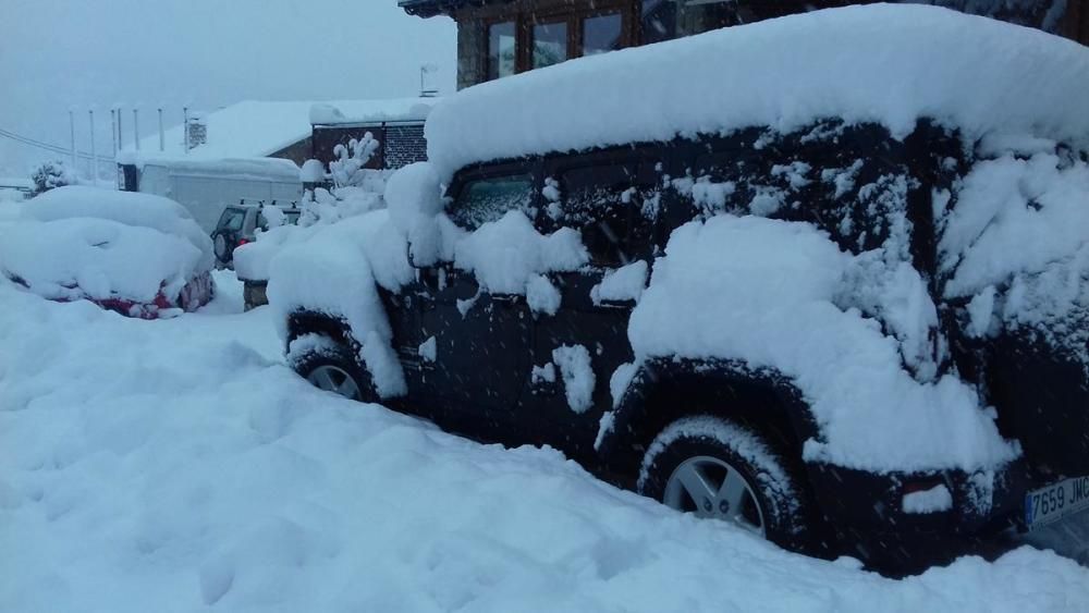 El temporal deixa 40 cm de neu a la Cerdanya