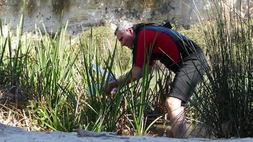 Un biólogo alerta de la acumulación de plásticos en el lecho del río Albaida