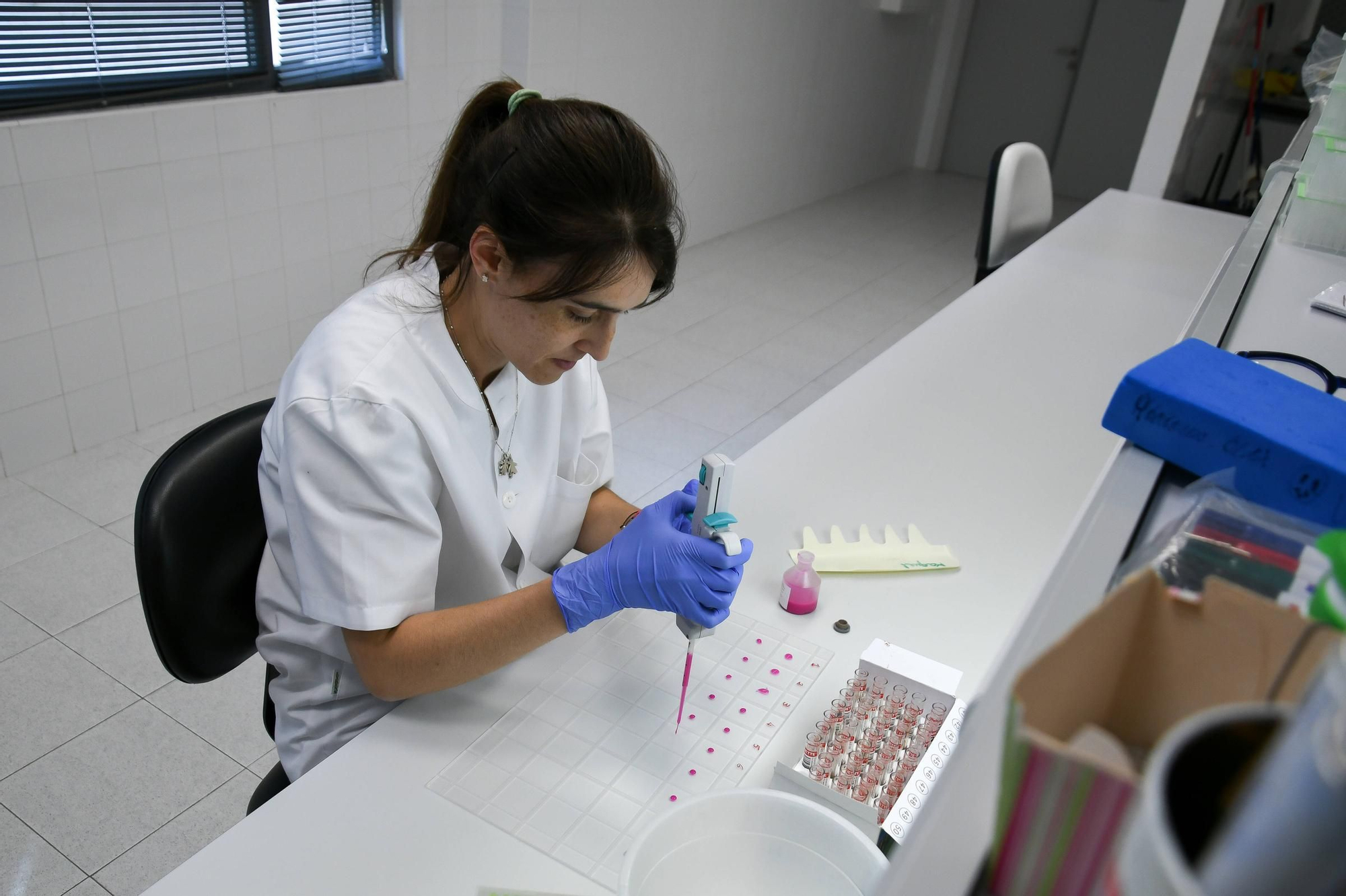 GALERÍA | Así trabaja el Laboratorio de Sanidad Animal de Zamora