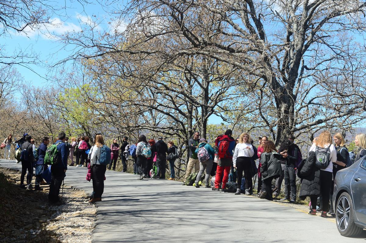 Durante la Fiesta del Cerezo en Flor se desarrollan multitud de rutas senderistas.