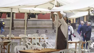 Entran en vigor las nuevas ordenanzas fiscales: estas son las bonificaciones tributarias para los sevillanos en 2025