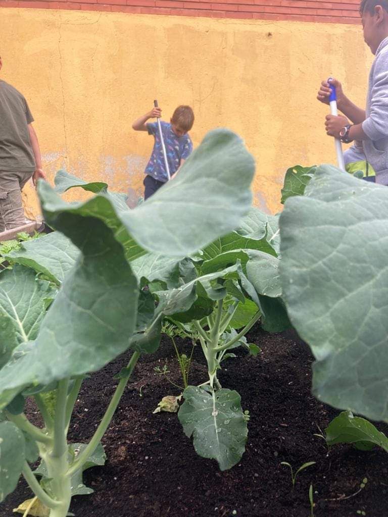 El Cotayo se vuelca con su cultivo ecológico: así trabajan los huertos en el colegio de Siero