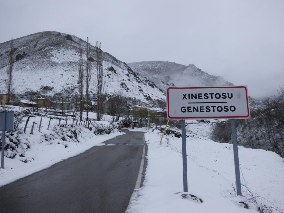 Primera nevada de la primavera o última del invierno en Genestoso, Cangas del Narcea