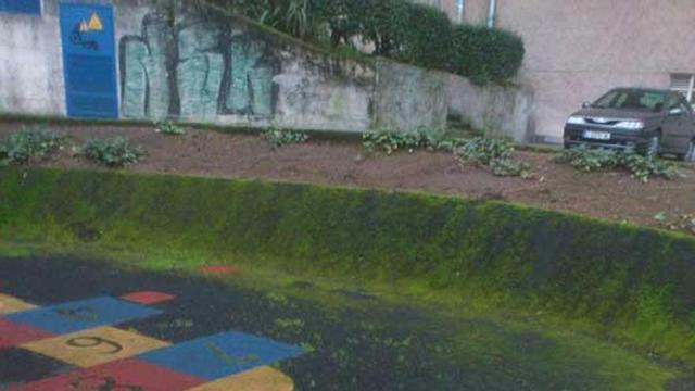 Verdín en la superficie de la zona de juegos.