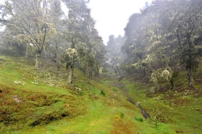 LLUVIA Y FRIO MEDIANIAS Y CUMBRE