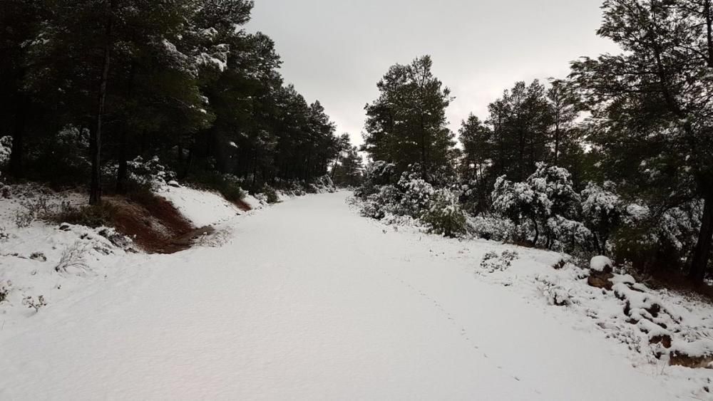 Nieve en las zonas altas de la Región