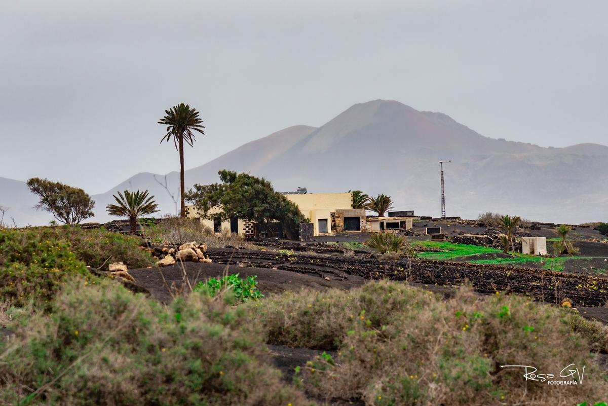 Lluvias en el municipio de Yaiza, en Lanzarote (13/01/25) Lluvias en el municipio de Yaiza, en Lanzarote (13/01/25)
