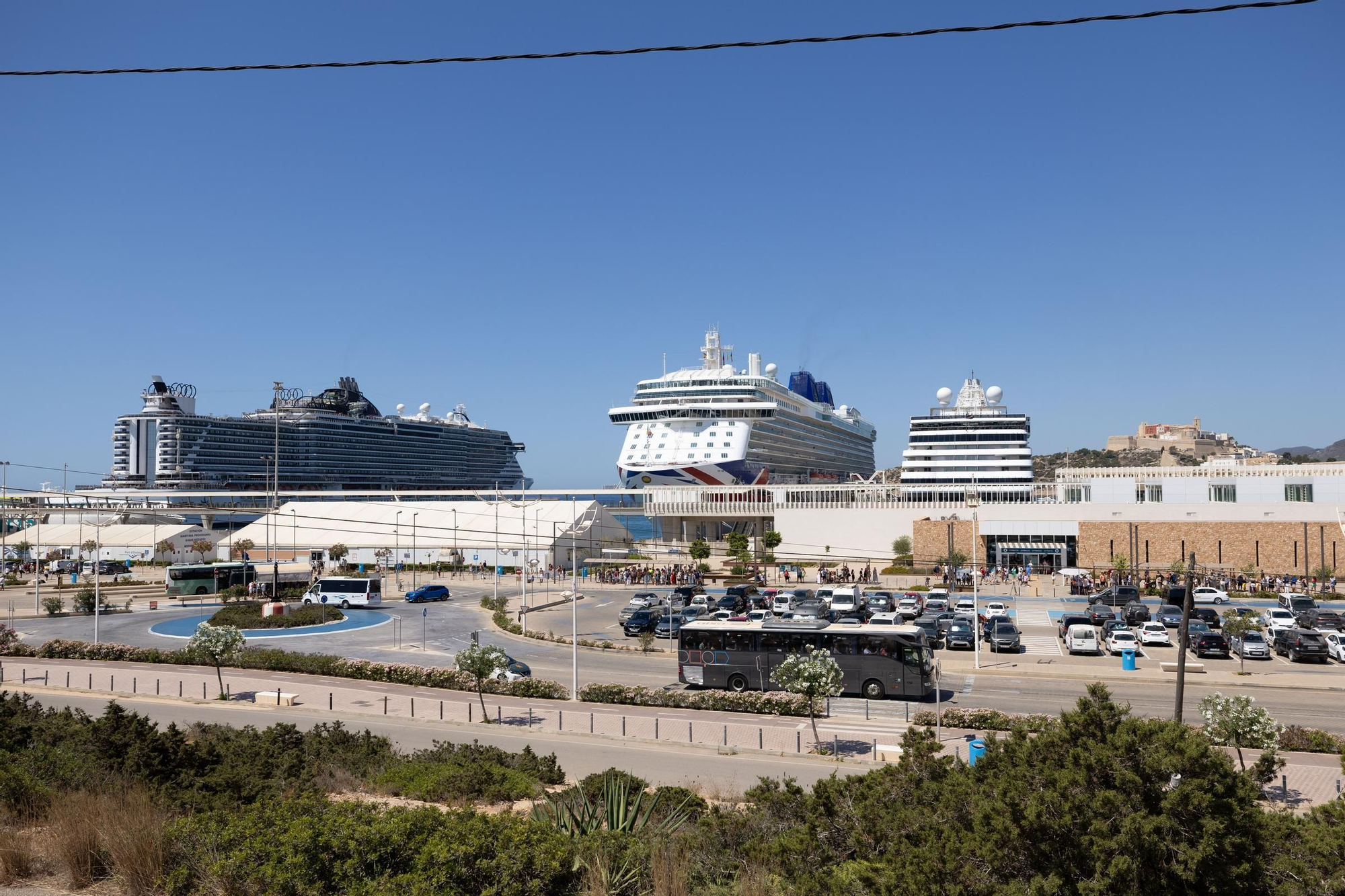 Galería: Portesta contra  los cruceros en Ibiza