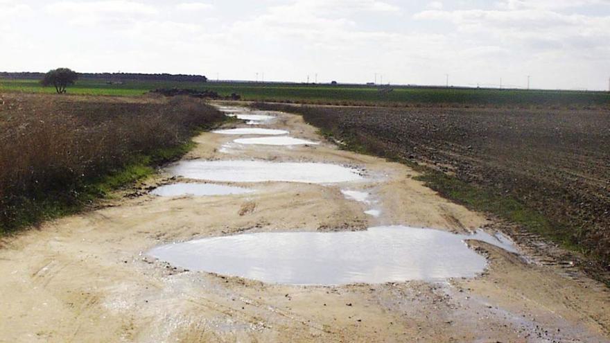 Asaja pide regular los parques solares para evitar inundaciones en la campiña