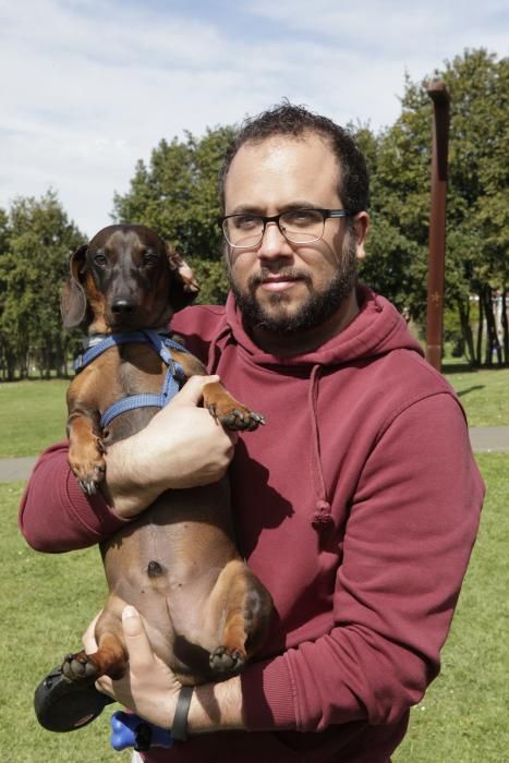 Concentración de perros teckel en Los Pericones.