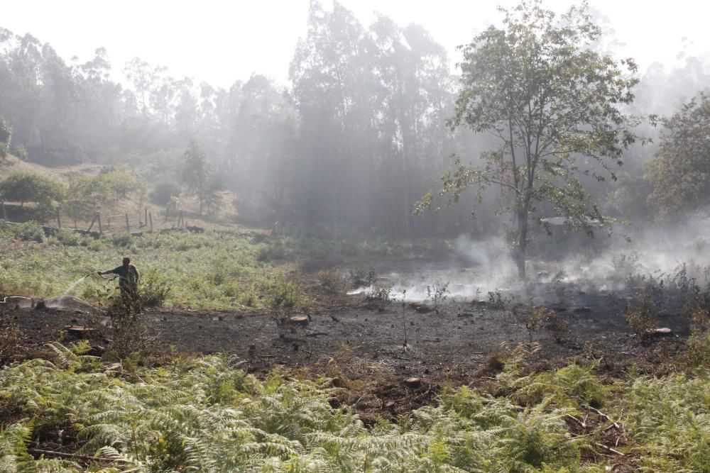 Incendios en Galicia | Segunda jornada de lucha contra el fuego en Cotobade