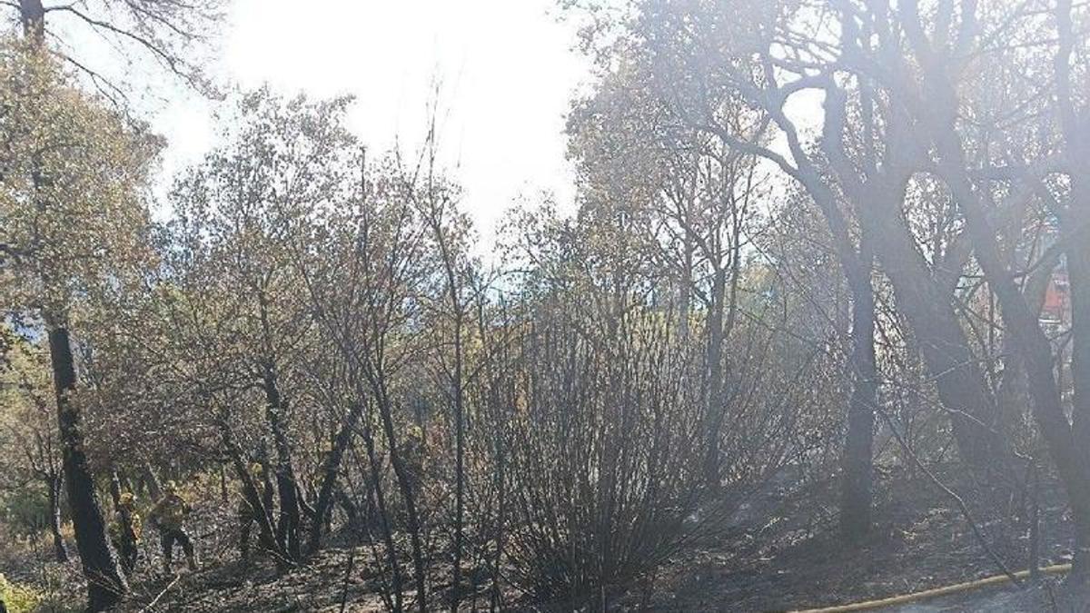 La zona cremada a Font de la Pólvora i els Bombers treballant-hi.