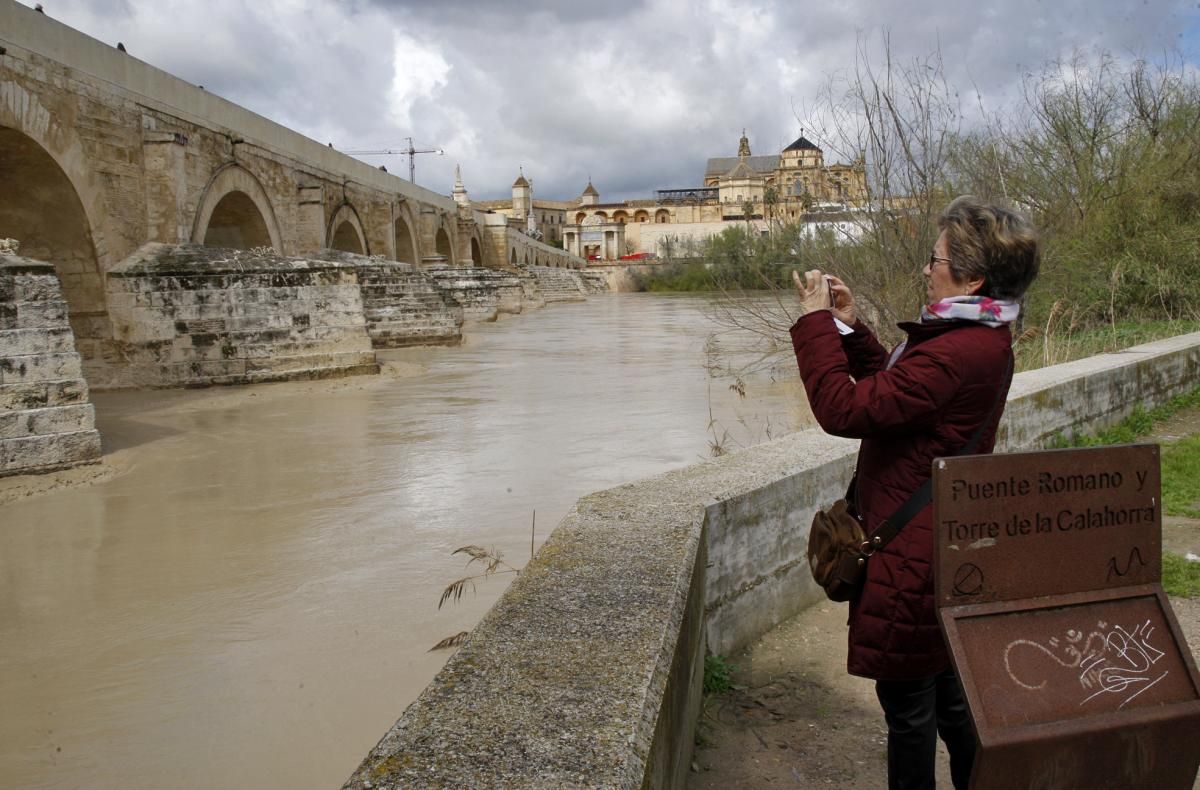 Córdoba, pendiente de la crecida del Guadalquivir