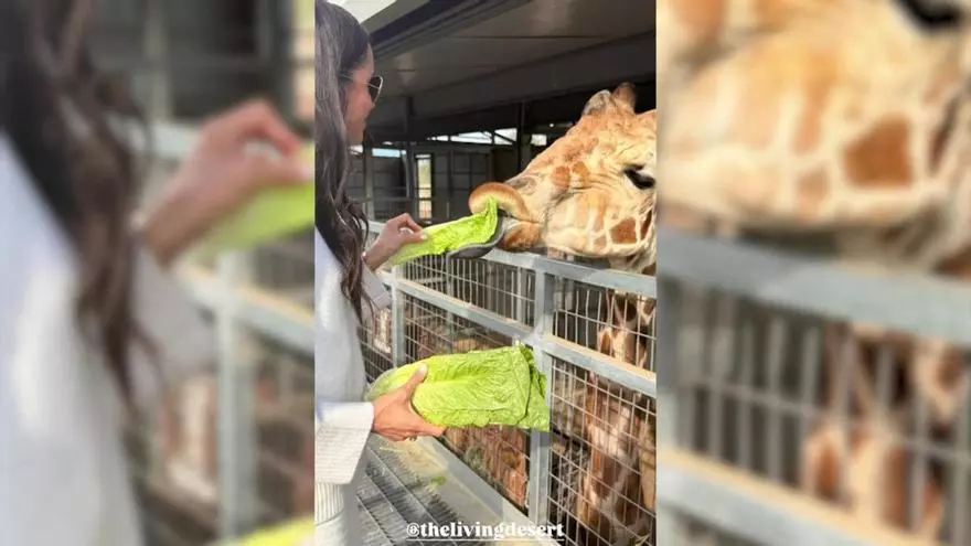 Meghan Markle muestra su faceta más familiar con la familia al completo en el zoo