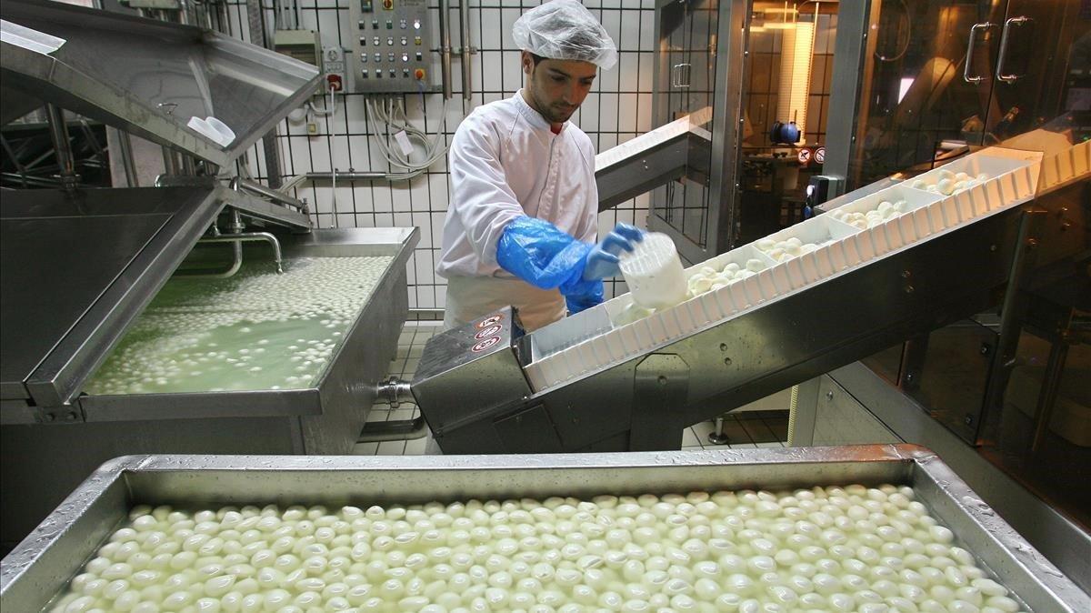 zentauroepp7940285 a worker prepares buffalo mozzarella in a compagny of the it190504181449