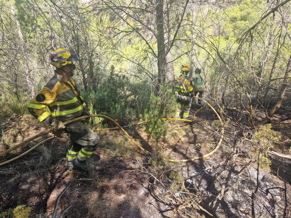 En imágenes I El operativo del Infoar en el sector 1 del incendio de Leciñena, este viernes En imágenes I El operativo del Infoar en el sector 1 del incendio de Leciñena, este viernes
