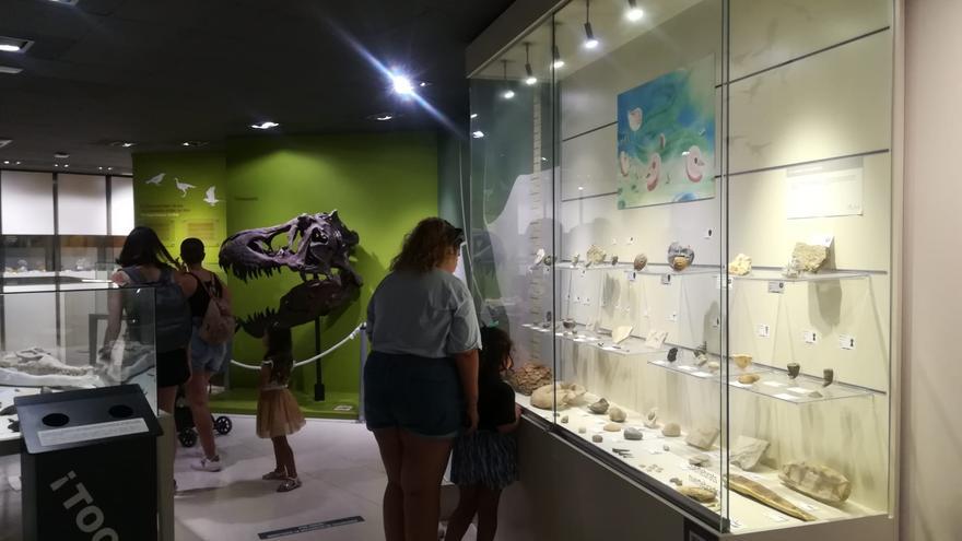 El Museo Paleontológico de Elche bate récord de visitantes este verano