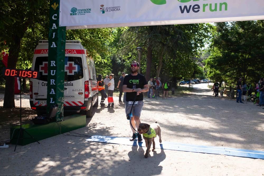 II Can We Run en Zamora