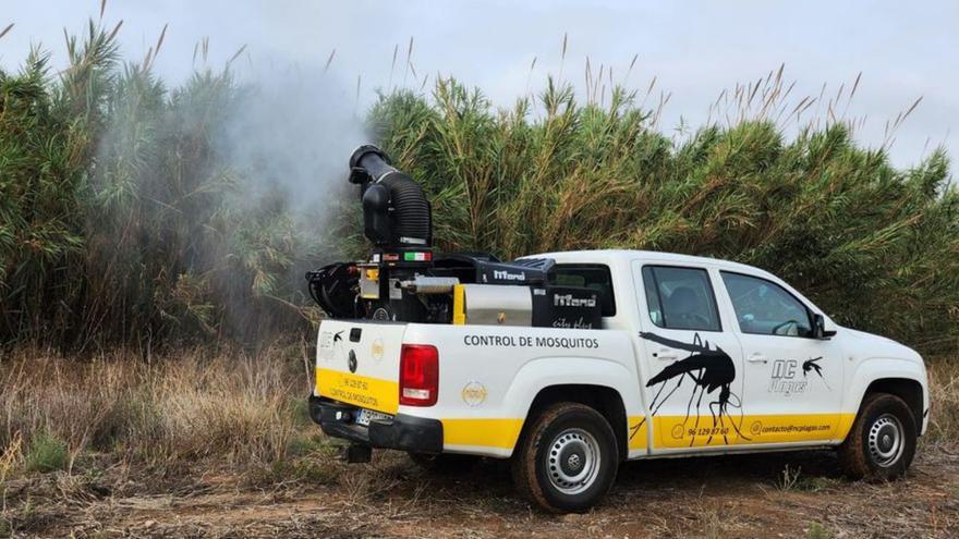 Canet intensifica su lucha contra los mosquitos tras el virus del Nilo de Puçol