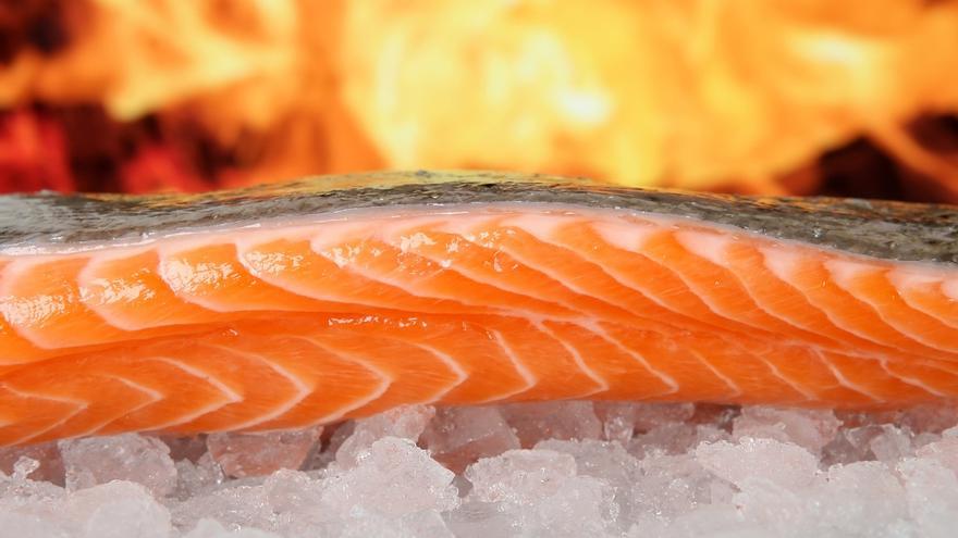 Los pescados más susceptibles de contener anisakis, el parásito perjudicial para tu salud