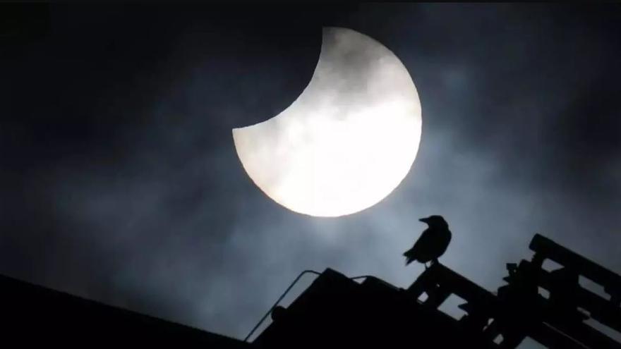 Que ve l’eclipsi!