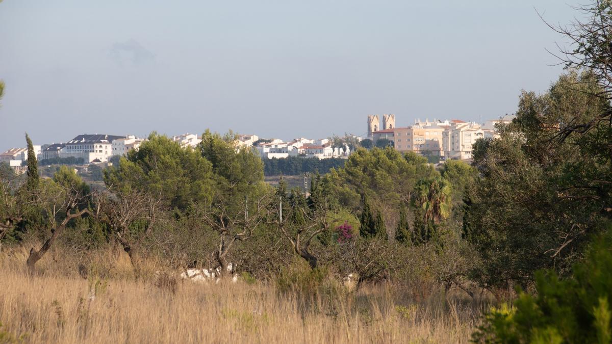 Els terrenys de la Fundació on està previst el col·legi; al fons, el nucli urbà de Benissa