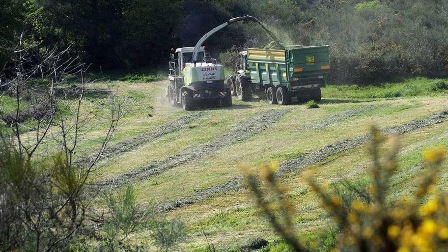 Siega de hierba el año pasado en la comarca de Deza.