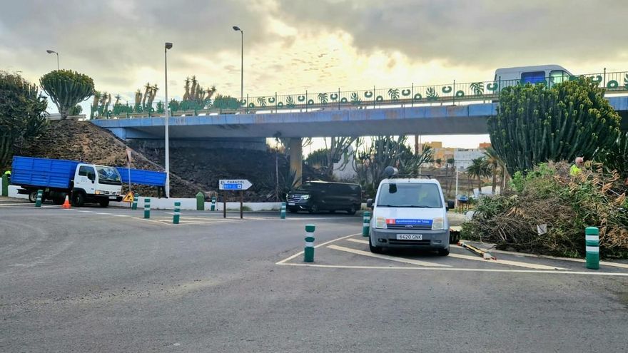 Parques y Jardines recupera el talud de la zona de acceso a San Gregorio, La Vega, El Contrapeso, Las Bachilleras y El Caracol