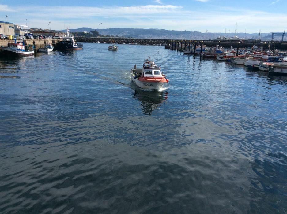 Tibio arranque del libre marisqueo en Cangas