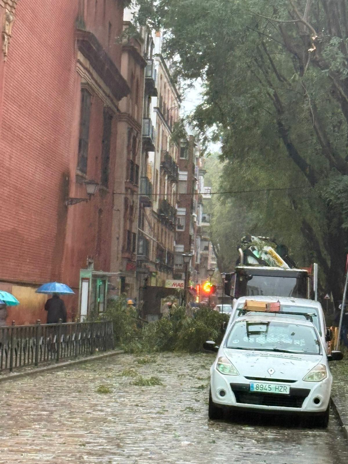 Calle San Jacinto.