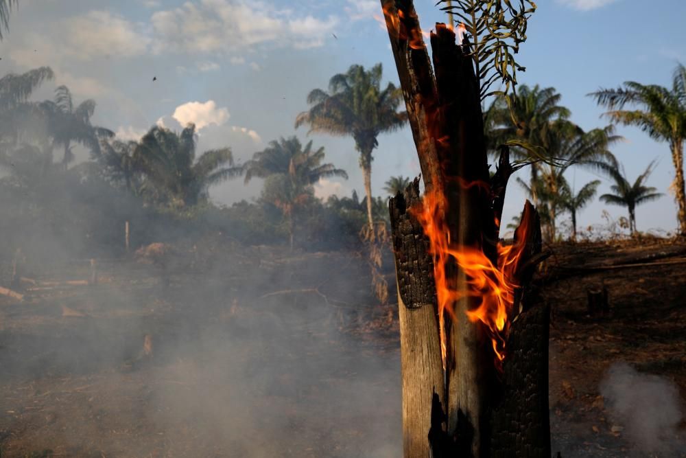 Rècord d'incendis a l'Amazones