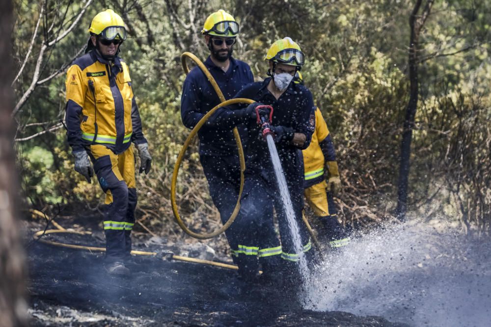 Incendio en el bosque de Bellver