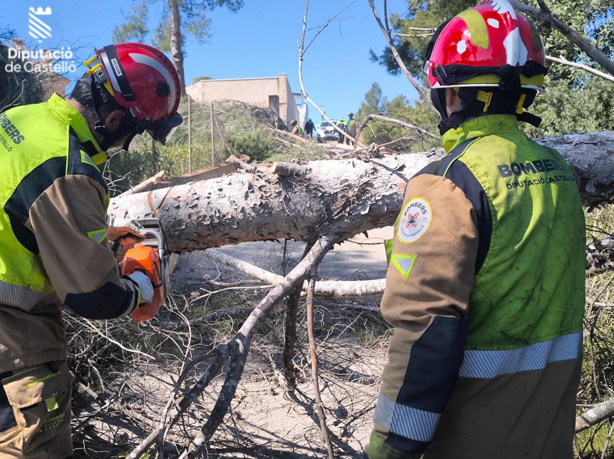 Bomberos trabajan cortando un árbol en una de sus actuaciones.