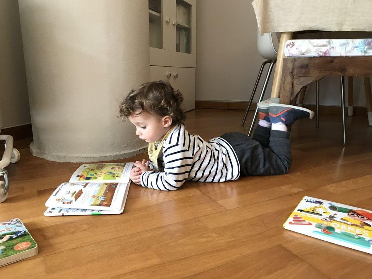 nios nios