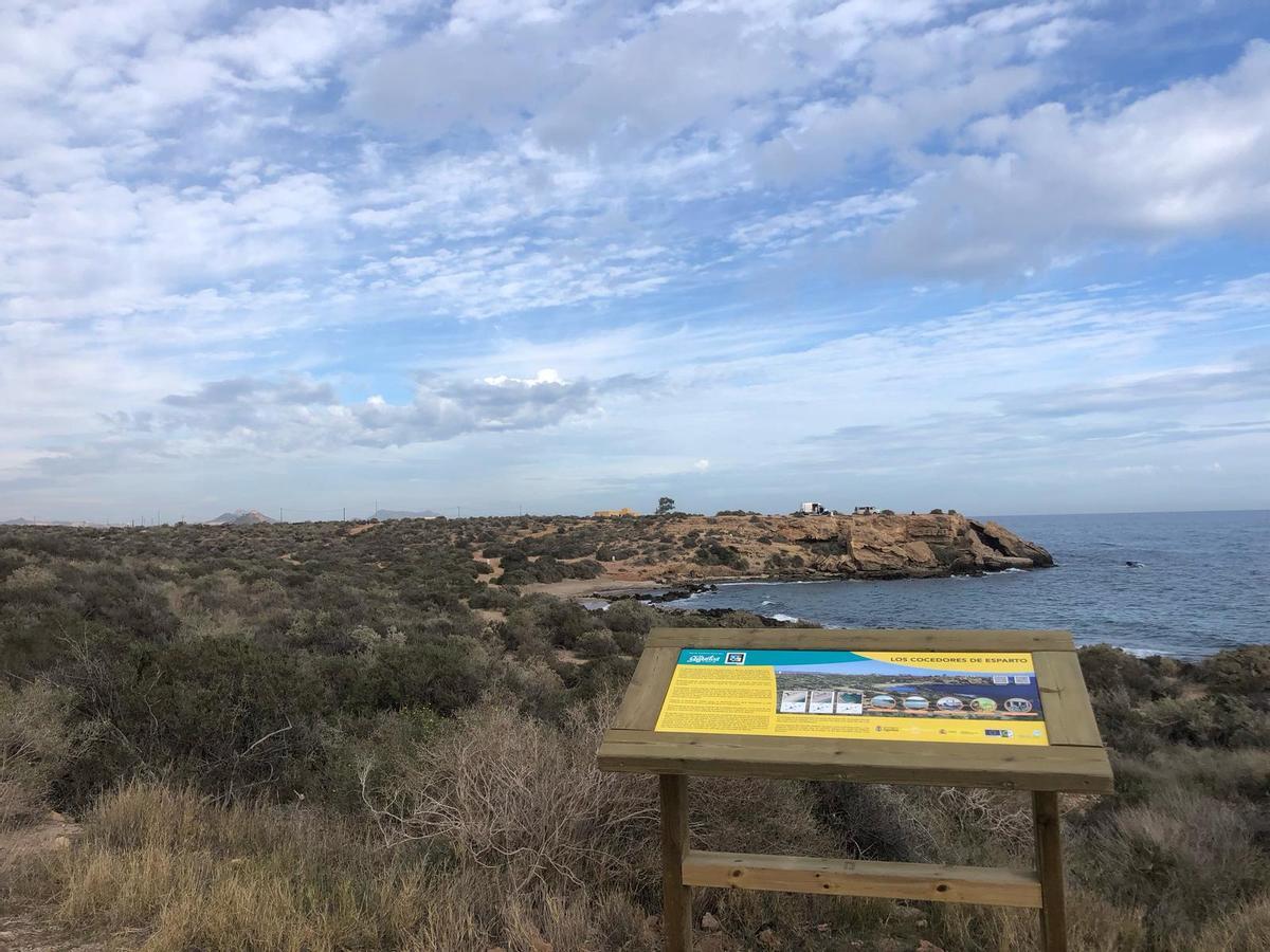 El diseño ecológico, aplicado a todas las áreas de negocio de Grupo Silvoturismo, representa una estrategia de innovación fundamental al integrar criterios ambientales desde la fase más temprana de diseño y desarrollo de un producto o servicio.