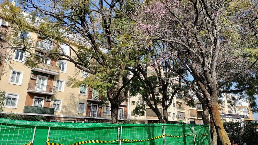 Comienzan las primeras talas en Manuel Ferrand por el proyecto de Altadis con el rechazo de un sector vecinal