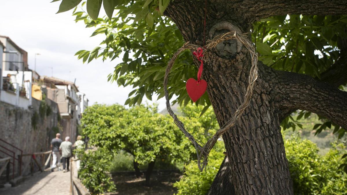 Rincón del 'Paseo del Amor' de Algar de Palància.