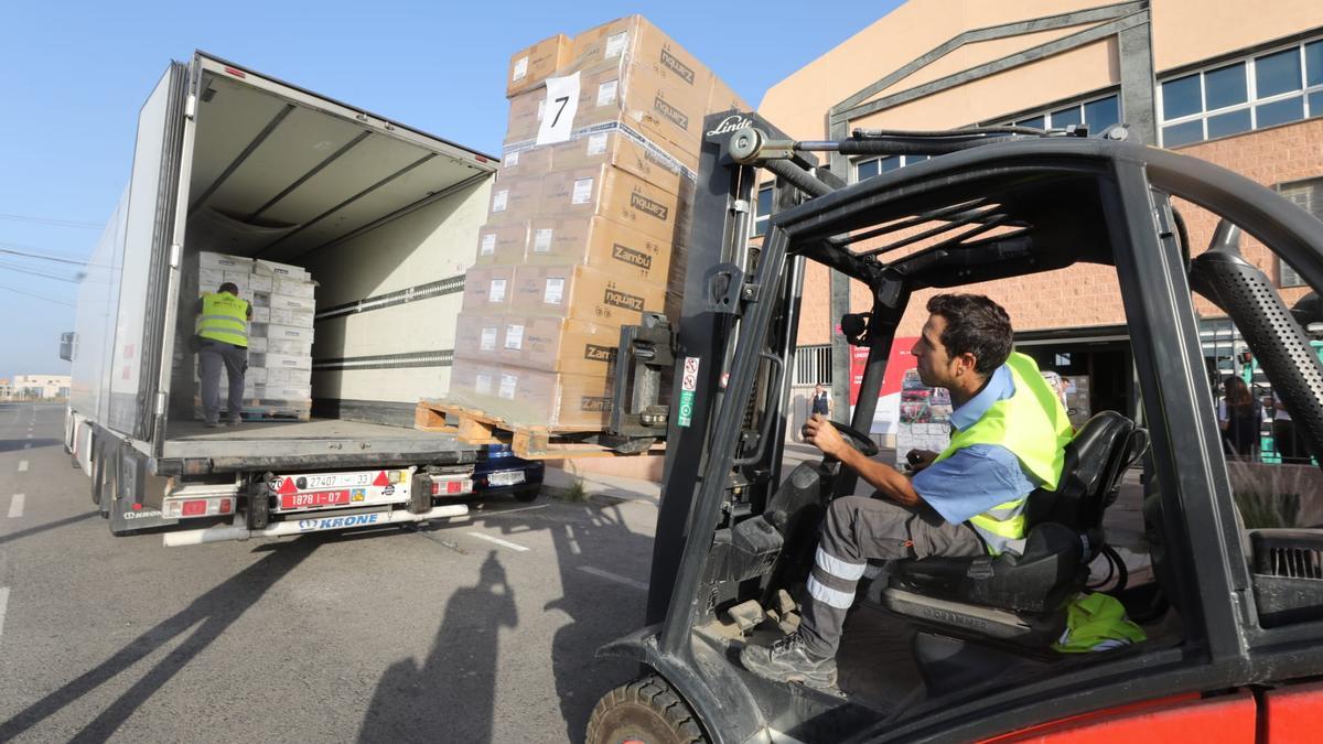 Operarios cargan la ayuda humanitaria que saldrá desde Elche hacia Marruecos este jueves