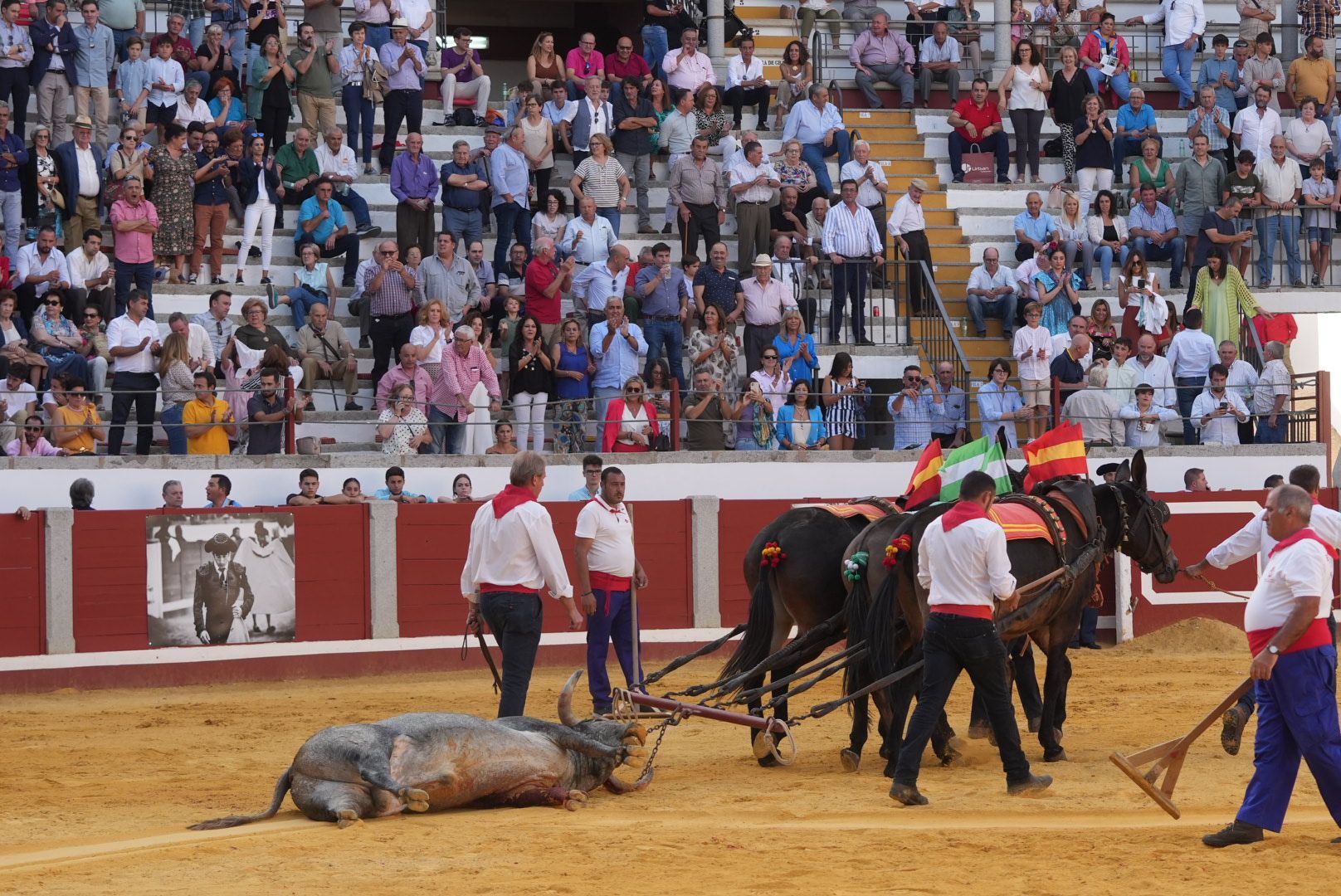 Compromiso torero frente a un gran encierro de Adolfo en Pozoblanco