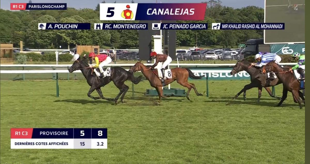 Victoria del caballo Canalejas en la carrera. Arriba se muestra el nombre del propietario, 'JC Peinado García'.