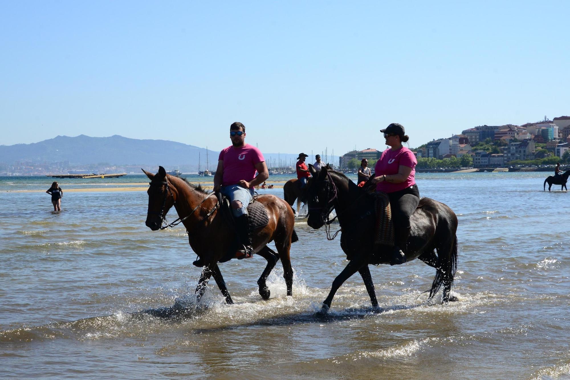 Una espectacular jornada a caballo por Moaña (I)