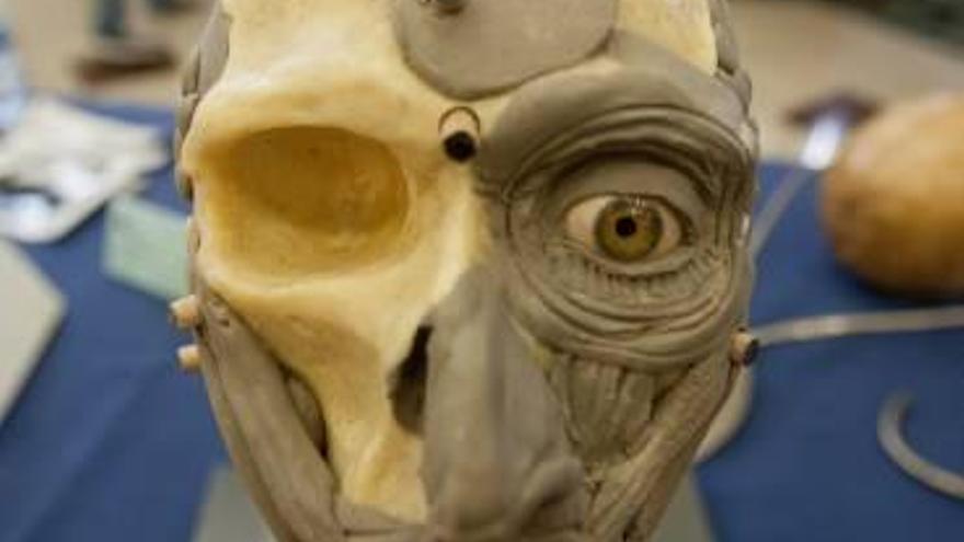 Muestra de una técnica de reconstrucción facial